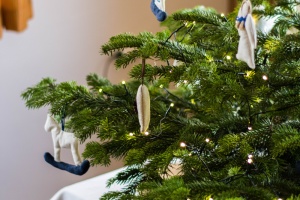 Vánoce AD 2018 23.12.2018